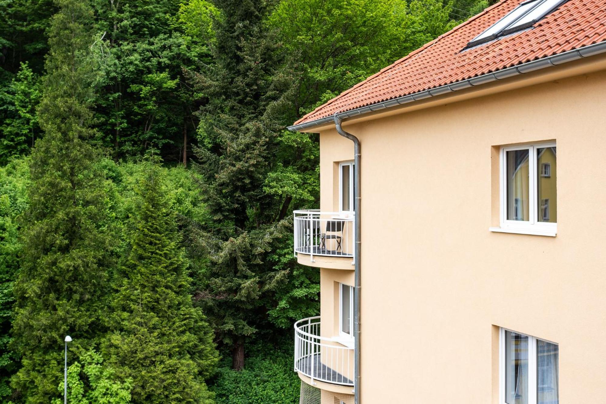 Apartament Mandala Jáchymov Zewnętrze zdjęcie